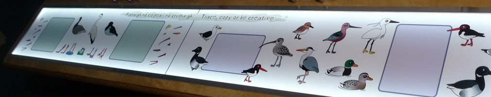 bird tracing drawing interactive table